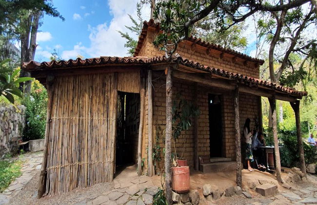Tour de día entero a Sierra Juárez, Ixtlán, Guelatao y Capulalpam - Foto 3