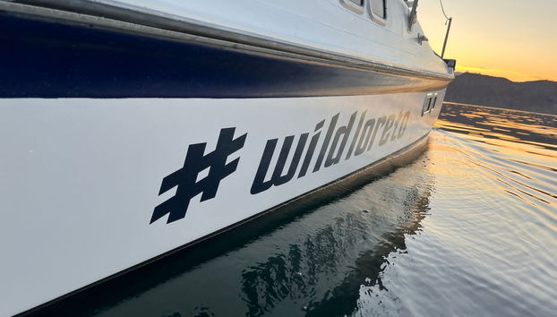 Loreto Sunset Boat Ride - Photo 5