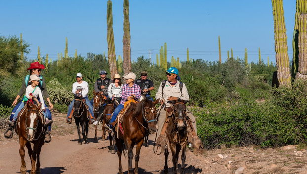 Baja California Sur Horseback Riding - Photo 3