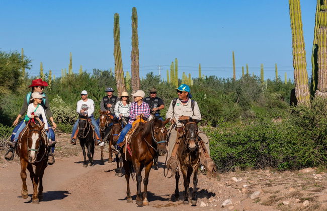 Baja California Sur Horseback Riding - Photo 3
