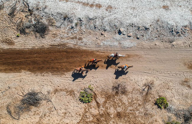 Baja California Sur Horseback Riding - Photo 1