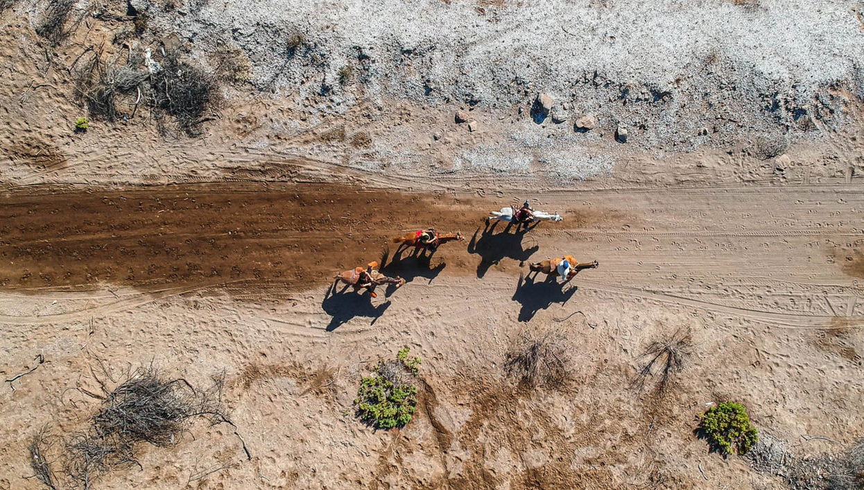 Baja California Sur Horseback Riding - Photo 1