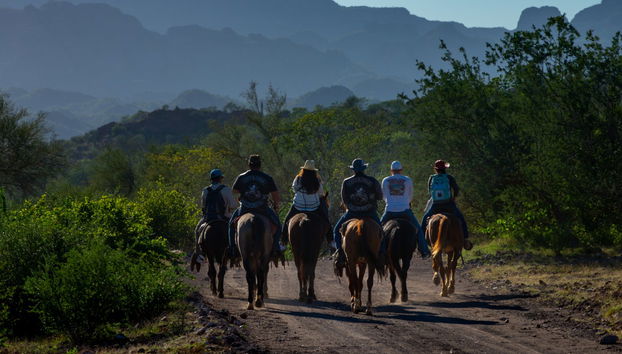 Baja California Sur Horseback Riding - Photo 2
