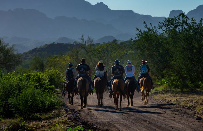 Baja California Sur Horseback Riding - Photo 2