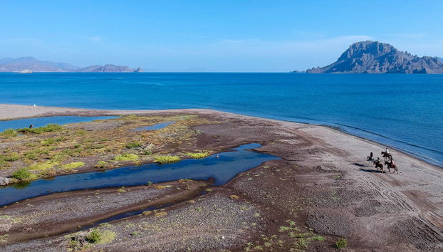 Baja California Sur Horseback Riding - Photo 4
