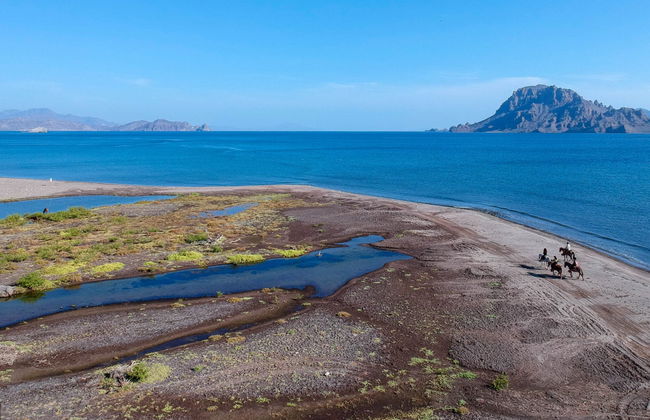 Baja California Sur Horseback Riding - Photo 4