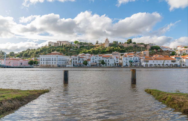 Balade en bateau à Alcácer do Sal - Photo 6