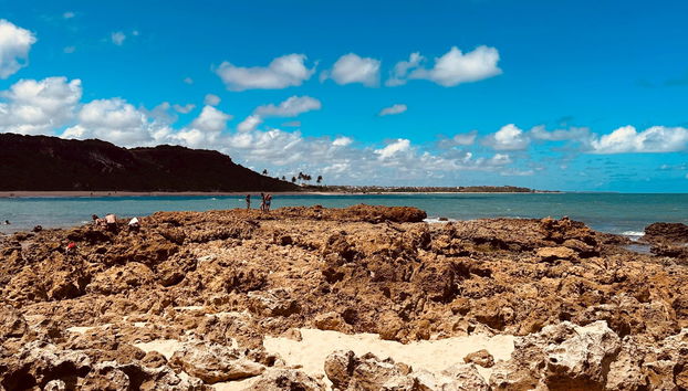 Excursão às praias Tambaba e Coqueirinho - Foto 2