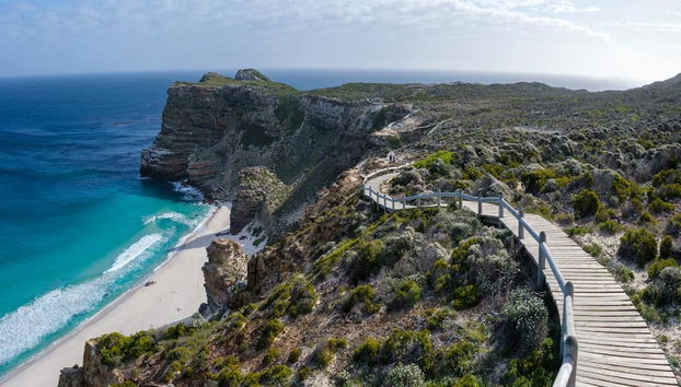 Excursión de medio día a la península del Cabo - Foto 4