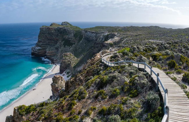 Excursión de medio día a la península del Cabo - Foto 4