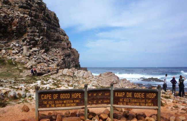 Excursión de medio día a la península del Cabo - Foto 8