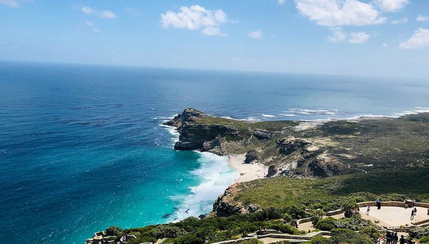 Excursión de medio día a la península del Cabo - Foto 5