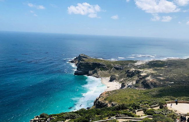 Excursión de medio día a la península del Cabo - Foto 5