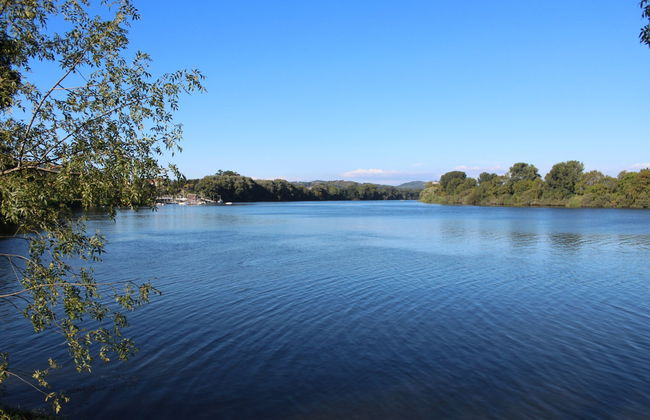 Paseo en barco por el río Miño - Foto 3