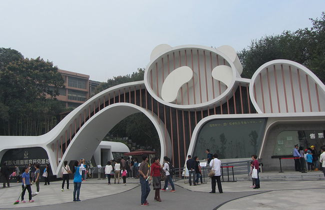 Full Day Highlight Chengdu Panda Trip and Customized City Sightseeing - Private - Photo 4
