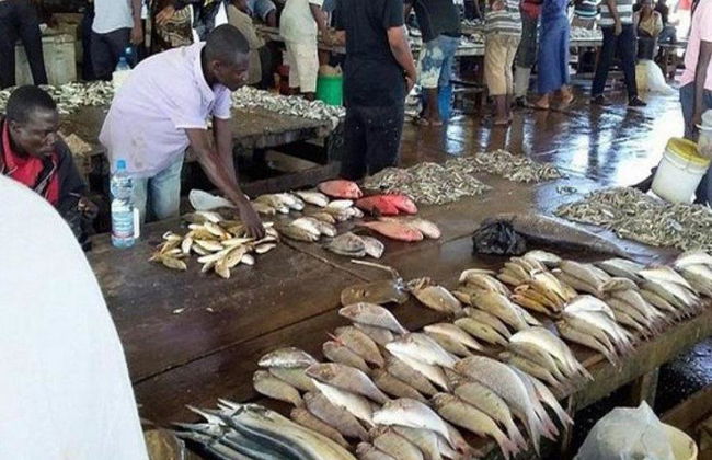 Dar Es Salaam City - Recorrido de día completo - Foto 6