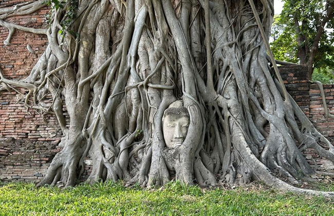Tour privado de um dia em Ayutthaya com um guia local - Foto 8