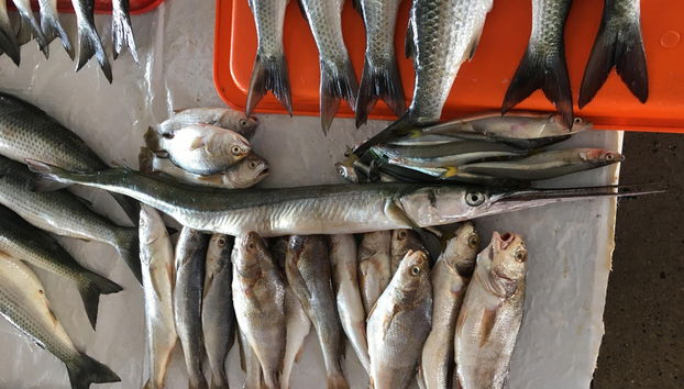 Tour del mercato di Chorrillos + Laboratorio di cucina peruviana - Foto 2