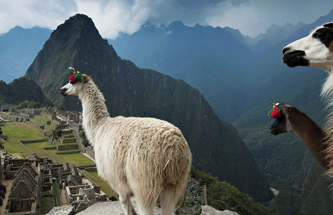 Selva de Machu Picchu y Valle Sagrado en 4 días - Foto 4