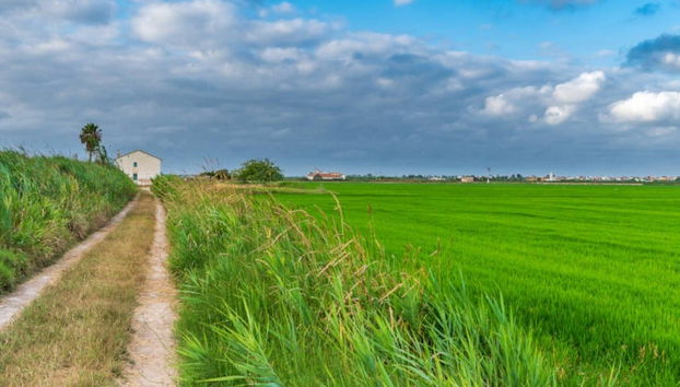 Tour di Valencia e dell'Albufera + Risaie - Foto 4
