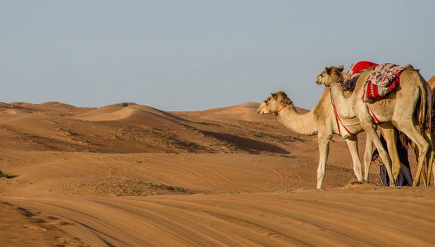 Private Day Trip from Muscat - Photo 4