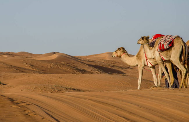 Private Day Trip from Muscat - Foto 4