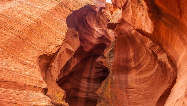 Excursão ao Antelope Canyon e ao Horseshoe Bend - Foto 2