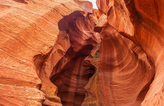 Excursão ao Antelope Canyon e ao Horseshoe Bend - Foto 2