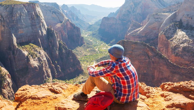 Zion Canyon & Valley of Fire Day Trip - Foto 3