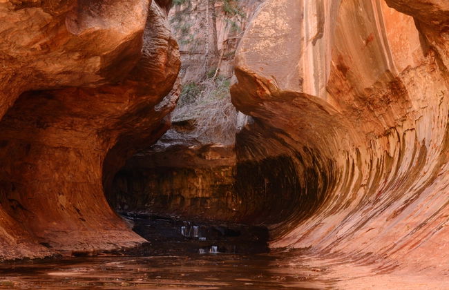 Excursión al cañón de Zion + Valle del Fuego - Foto 2