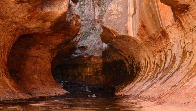 Excursión al cañón de Zion + Valle del Fuego - Foto 3