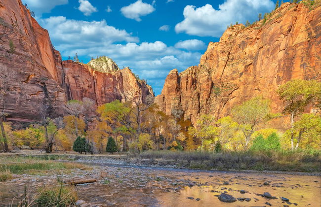 Excursão ao cânion de Zion + Vale do Fogo - Foto 1