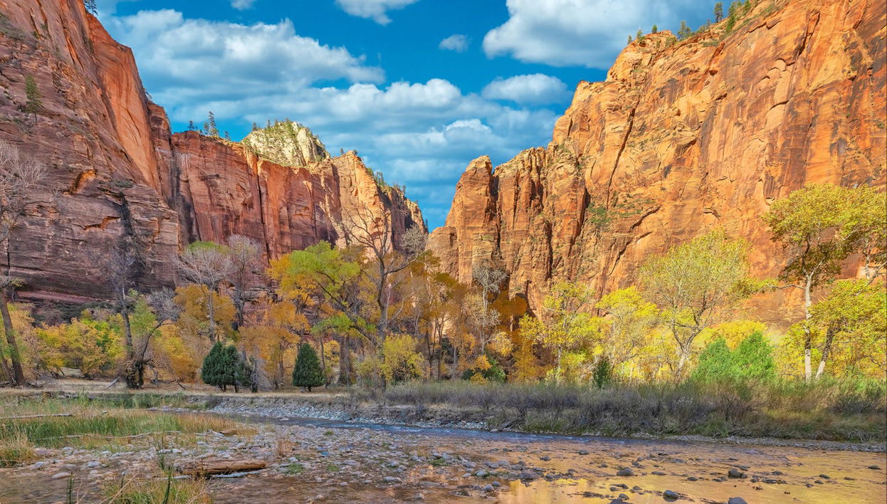 Zion Canyon & Valley of Fire Day Trip - Foto 1