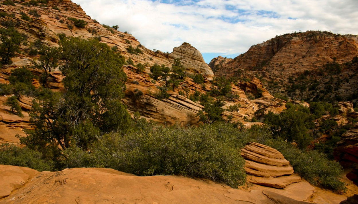 Excursión al cañón de Zion + Valle del Fuego - Foto 1