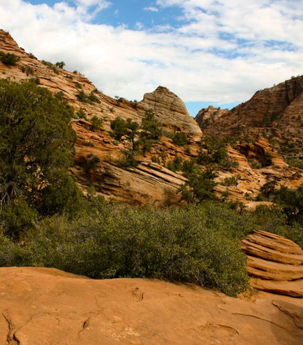 Photo – Zion Canyon &amp; Valley of Fire Day Trip