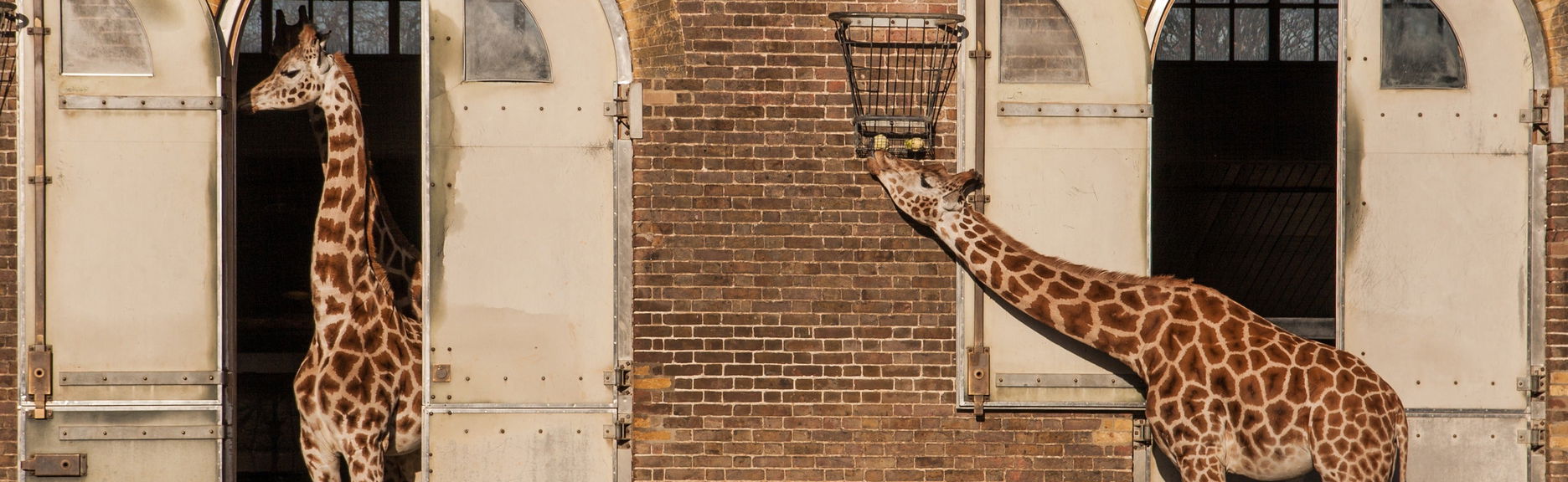 London Zoo Tickets - Foto 1