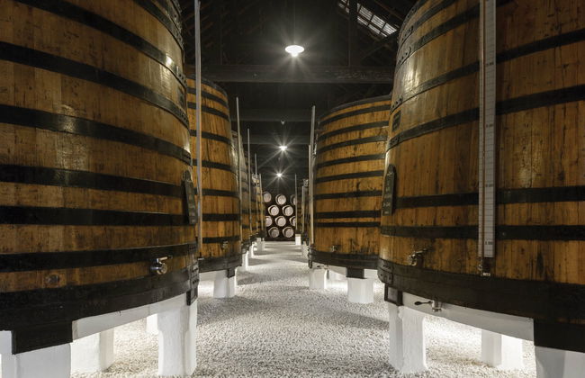 Visita a la bodega Graham's - Foto 2