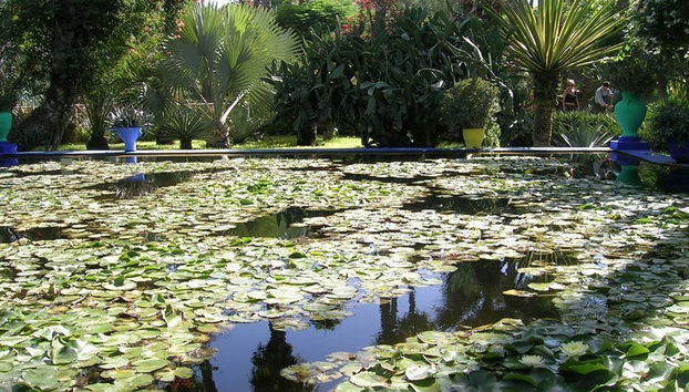 Excursión privada a Marrakech - Foto 4