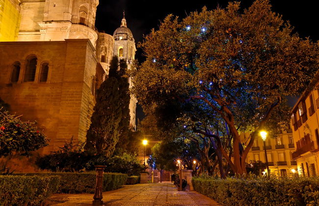 Tour teatralizado de la peste por Málaga - Foto 5
