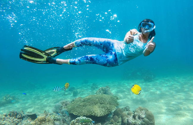 Snorkel en la costa de Marsella - Foto 1