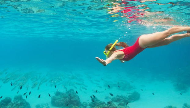 Snorkeling sulla costa di Marsiglia - Foto 4