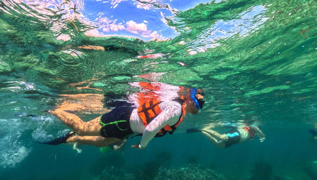 Snorkel en Puerto Morelos - Foto 3