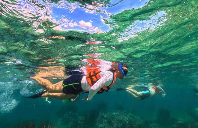 Snorkel en Puerto Morelos - Foto 3