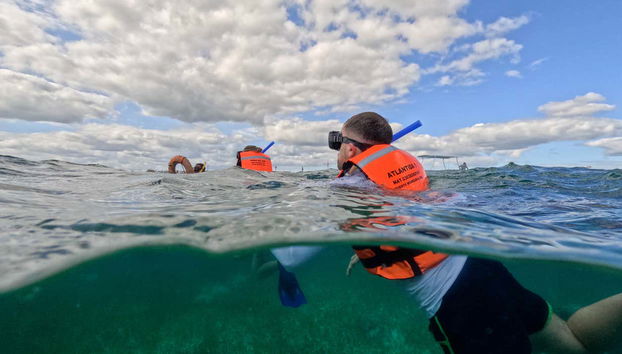 Snorkel en Puerto Morelos - Foto 2