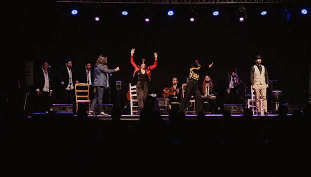 Espectáculo flamenco en el Tablao Corral de la Pacheca - Foto 5