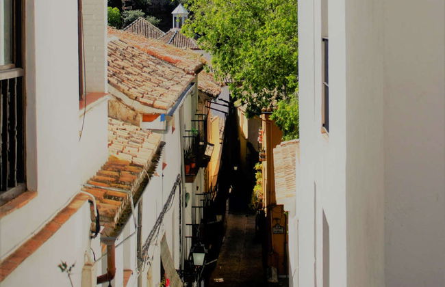 Visita guidata dell'Alhambra + Albayzín e Sacromonte - Foto 1