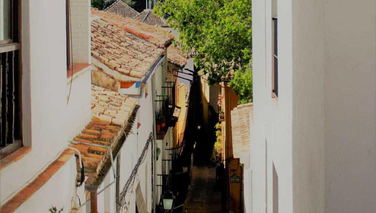 Visita guidata dell'Alhambra + Albayzín e Sacromonte - Foto 1