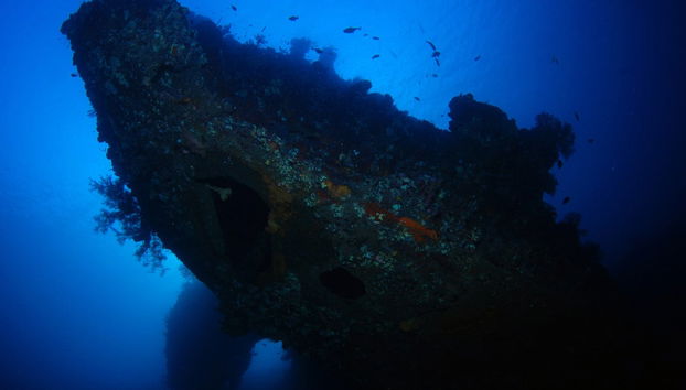 Snorkel em Bali - Foto 5