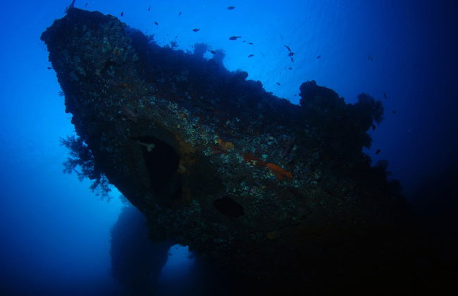 Snorkeling à Bali - Photo 5