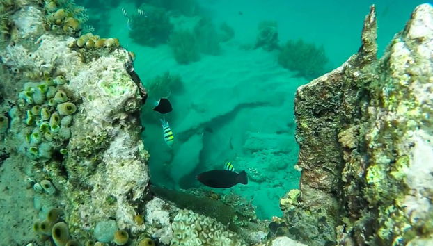 Snorkel em Bali - Foto 4